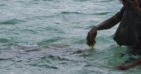 Close-Up of a Sea Turtle s Face in Clear Ocean Water Stock Footage 327853670