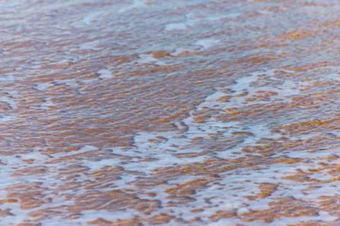 Close up of the sea water affecting the sand on the beach, sea waves calmly Stock Photos