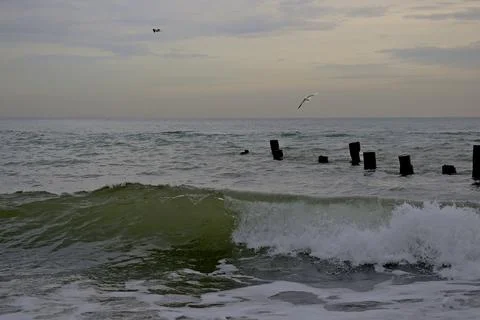 Close-up of a sea wave, solid cloud cover. Stock Photos