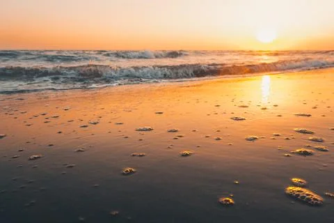 Close-up sea waves bubbles. Sunset landscape. Sun over the sea. Stock Photos