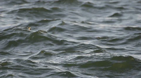 Close up sea waves Stock Footage 22747958