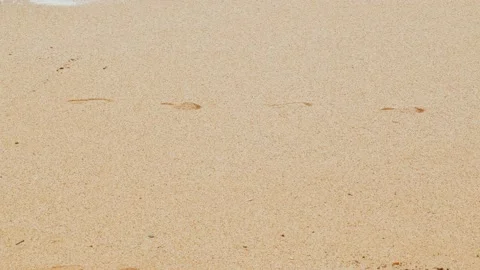Close-up of sea waves running on a sandy beach. White sea foam bubbles on the Stock Footage 178956779