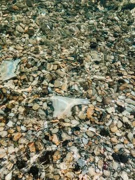 Close up sea waves stones shells beach summer day. top view above transpare.. Stock Photos