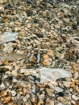 Close up sea waves stones shells beach summer day. top view above transpare.. Stock Photos