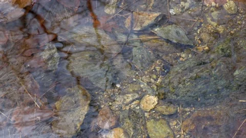 Close up seabed of clear mountain water. Slow motion 4K Stock Footage 239261560