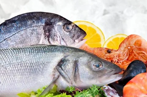 Close-up of Seafood Stock Photos