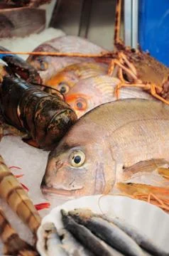 Close-up of Seafood Stock Photos