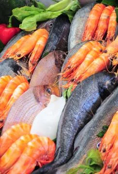 Close-up of Seafood Stock Photos