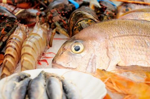 Close-up of Seafood Stock Photos