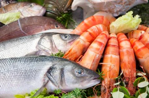 Close-up of Seafood Stock Photos