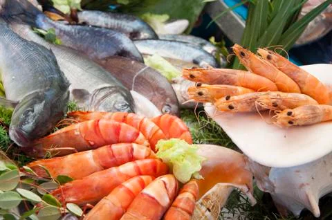 Close-up of Seafood Stock Photos
