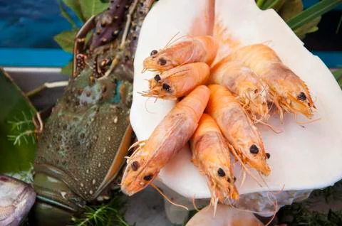 Close-up of Seafood Stock Photos