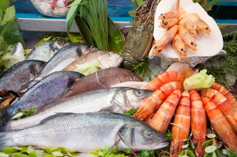 Close-up of Seafood Stock Photos