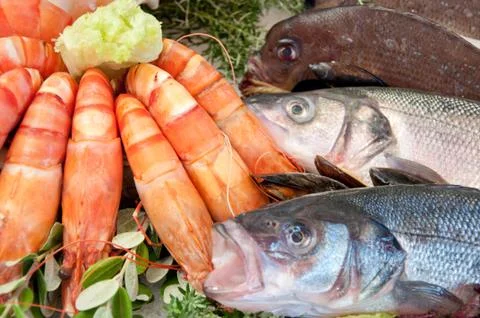 Close-up of Seafood Stock Photos