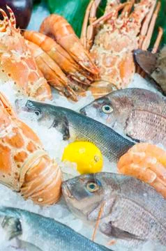 Close-up of Seafood Stock Photos