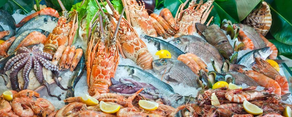 Close-up of Seafood Stock Photos