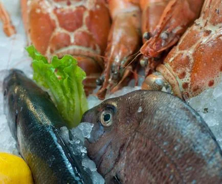 Close-up of Seafood Stock Photos