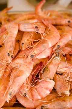 Close-up of Seafood Stock Photos