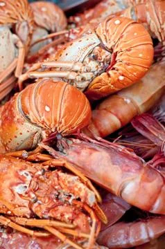Close-up of Seafood Stock Photos