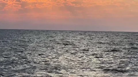 Close Up of Seagull Flying Over Ocean Water at Sunset and Landing on Water HD Stock Footage 249985823