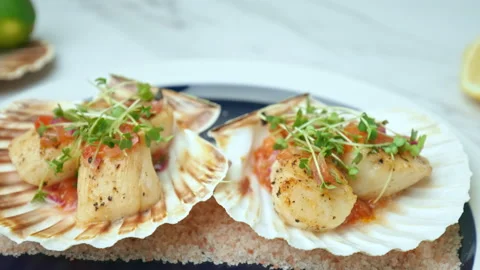 Close-up of Seared Scallops in a seashell with sauce and decorative fresh cress. Stock Footage 142825221