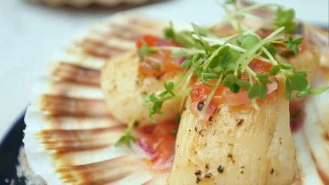 Close-up of Seared Scallops in a seashell with sauce and decorative fresh cress. Stock Footage 142825313