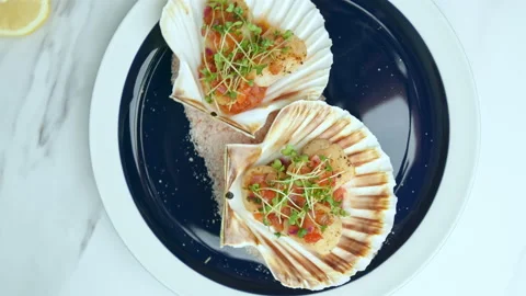 Close-up of Seared Scallops in a seashell with sauce and decorative fresh cress. Stock Footage 142825433