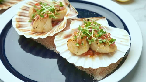 Close-up of Seared Scallops in a seashell with sauce and decorative fresh cress. Stock Footage 142825506