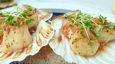 Close-up of Seared Scallops in a seashell with sauce and decorative fresh cress. Stock Footage 142825626