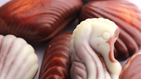 Close up of seashell chocolate, rotation in circle. seashell chocolate Stock Footage 233901274