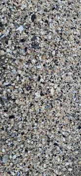 Close-Up of Seashell Fragments Stock Photos