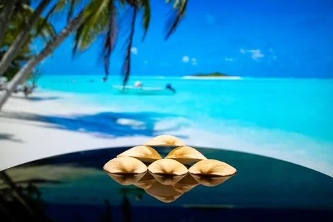 Close up of seashells with tropical beach background Stockfoto's