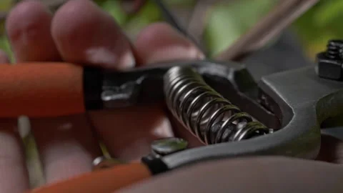 Close-up of the secateurs or garden shears in the farmer's hand. Stock-Footage 270061018