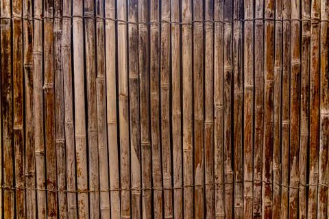 Close up on a section of bamboo screen Stock Photos