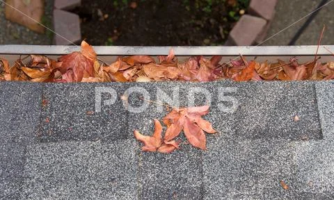Close up on section of rain gutter on residential home, clogged with leaves. Stock Photos