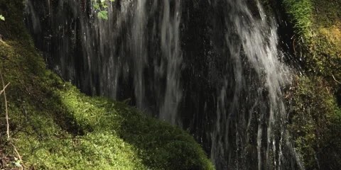 Close-up section of a waterfall streaming over mossy rocks Stock Footage 59527975