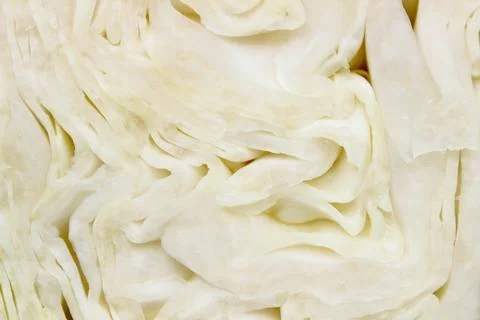 Close-up of a section of white cabbage. Stock Photos