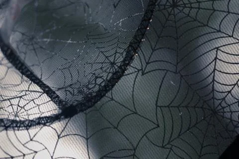 Close Up Of See Through, Cobweb Patterned Witches Hat 写真素材