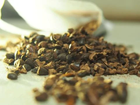 Close up seed tea bag 库存照片