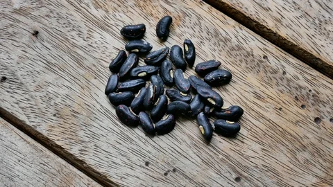 Close up seed on wood texture. Stock-Footage 114224409