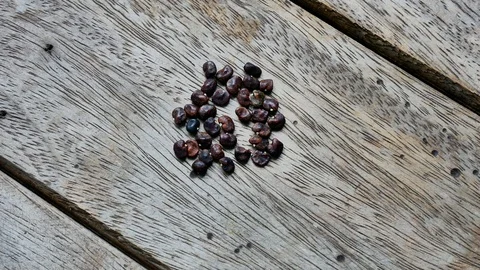 Close up seed on wood texture. Video stock 114224414