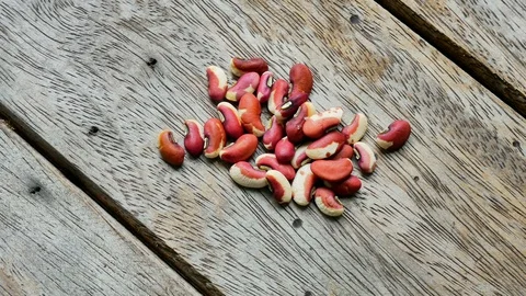 Close up seed on wood texture. Stock Footage 114224416