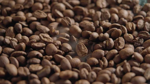 Close up of seeds of coffee. Stock Footage 171639362
