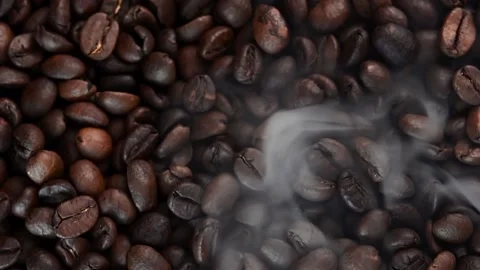 Close up of seeds of coffee. Stock Footage 171811854
