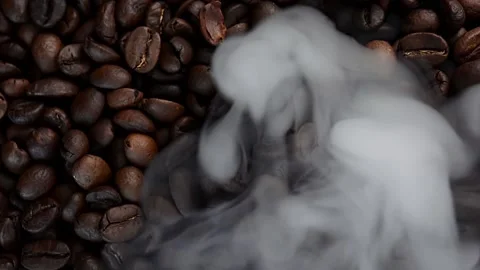 Close up of seeds of coffee. Stock Footage 171811862