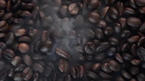 Close up of seeds of coffee. Stock Footage 171811863