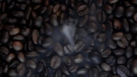 Close up of seeds of coffee. Stock Footage 171811864