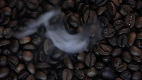 Close up of seeds of coffee. Stock Footage 171811882