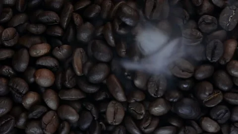 Close up of seeds of coffee. Stock Footage 171811886