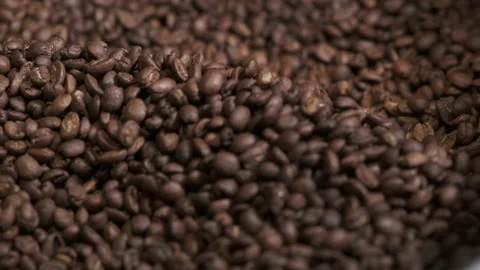 Close up of seeds of coffee Vidéo 209314921